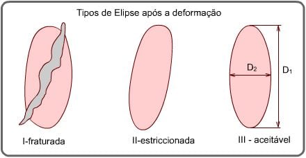 tipos de elipse após a deformação