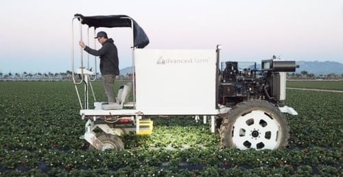 Sistema automatizado de colheita de morangos da Advanced Farm