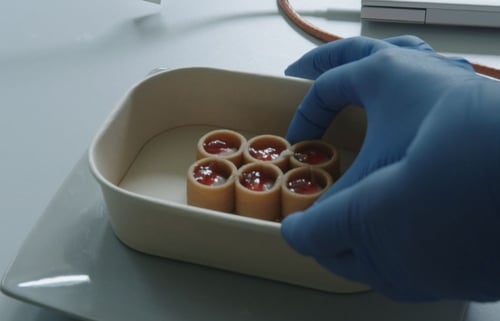 Impressão 3D de alimentos: Quando tecnologia e gastronomia se encontram - Imagem: Divulgação
