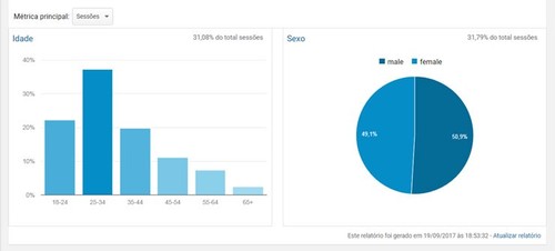 Informações demográficas - Google Analytics