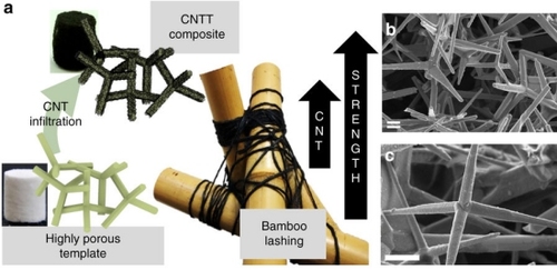 Depois de infiltrar-se pela cerâmica, os nanotubos formam estruturas parecidas com as usadas em edifícios de bambu.
