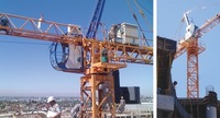 Grua Grua