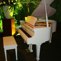 Apresentações Musicais- com Piano de Cauda Apresentações Musicais- com Piano de Cauda