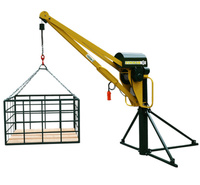 MINI GRUA 1000 KL MINI GRUA 1000 KL