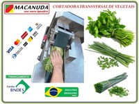 MÁQUINA PROFISSIONAL MACANUDA PARA CORTAR TEMPERO VERDE MÁQUINA PROFISSIONAL MACANUDA PARA CORTAR TEMPERO VERDE