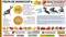 Thumb_maquina-de-despolpar-frutas-profissional-marca-macanuda