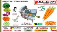 ALFACE PICADA MÁQUINAS INDUSTRIAIS TORENA MACANUDA ALFACE PICADA MÁQUINAS INDUSTRIAIS TORENA MACANUDA