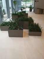 Cachepots/vasos de Aço CORTEN