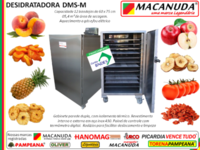 DESIDRATADOR INDUSTRIAL DE MAÇÃ, PÊSSEGO E OUTRAS FRUTAS E HORTALIÇAS DESIDRATADOR INDUSTRIAL DE MAÇÃ, PÊSSEGO E OUTRAS FRUTAS E HORTALIÇAS