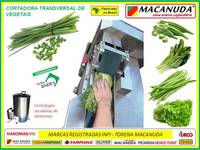 PRA CORTAR TEMPERO VERDE EM QUANTIDADE MÁQUINAS MACANUDA PRA CORTAR TEMPERO VERDE EM QUANTIDADE MÁQUINAS MACANUDA