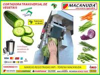 FATIAR PEPINO PARA INDÚSTRIAS DE CONSERVAS MÁQUINAS MACANUDA FATIAR PEPINO PARA INDÚSTRIAS DE CONSERVAS MÁQUINAS MACANUDA