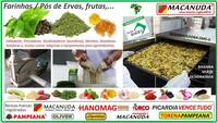 ERVAS MEDICINAIS DESIDRATADAS, EQUIPAMENTO INDUSTRIAL MACANUDA ERVAS MEDICINAIS DESIDRATADAS, EQUIPAMENTO INDUSTRIAL MACANUDA