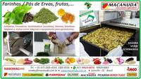 DESIDRATADORA PROFISSIONAL MACANUDA PARA ERVAS VENDAS NO PARANÁ DESIDRATADORA PROFISSIONAL MACANUDA PARA ERVAS VENDAS NO PARANÁ