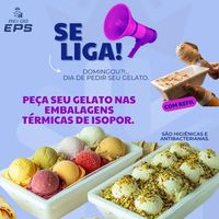CAIXINHAS DE ISOPOR PARA GELATO E SORVETES ARTESANAIS CAIXINHAS DE ISOPOR PARA GELATO E SORVETES ARTESANAIS