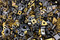 Thumb_sucata-de-metal-duro-pastilhas-widia-insertos-tugnstenio