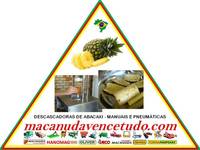 MACANUDA, A MARCA DA MÁQUINA! DESCASCADORA DE ABACAXI EM RIO VERDE GO