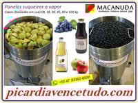 PANELA A VAPOR PRA FAZER SUCO 45 KG DE UVA MARCA MACANUDA