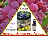 MACANUDA EXTRATORA DE SUCO A VAPOR CAPACIDADE 100,0 KG DE UVA MACANUDA EXTRATORA DE SUCO A VAPOR CAPACIDADE 100,0 KG DE UVA