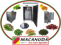 DESIDRATADOR PROFISSIONAL DE ERVAS MEDICINAIS VENDAS NO RIO GRANDE DESIDRATADOR PROFISSIONAL DE ERVAS MEDICINAIS VENDAS NO RIO GRANDE