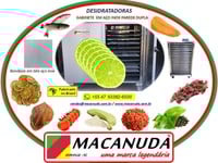 DESIDRATAR LIMÃO, EQUIPAMENTOS PROFISSIONAIS MACANUDA
