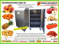 DESIDRATAR PÊSSEGO, EQUIPAMENTOS AÇO INOX MACANUDA