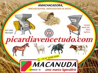 AMACHACADOR DE AVEIA EM GUARAPUAVA PR, WWW.PICARDIAVENCETUDO.COM