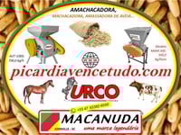 PICARDIAVENCETUDO.COM, MACANUDA E URCO TORENA EM CAMPOS NOVOS SC PICARDIAVENCETUDO.COM, MACANUDA E URCO TORENA EM CAMPOS NOVOS SC