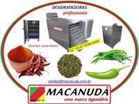 PIMENTA DESIDRATADA MÁQUINAS INDUSTRIAIS MACANUDA PIMENTA DESIDRATADA MÁQUINAS INDUSTRIAIS MACANUDA