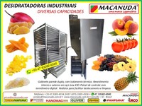 SECAR ABÓBORA, DESIDRATADORAS INDUSTRIAIS AÇO INOX MACANUDA