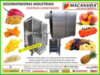 INDUSTRIAL FRUIT DRYER MACHINE - DESIDRATADORA DE FRUTAS MACANUDA
