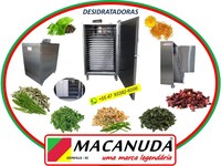 ERVAS MEDICINAIS DESIDRATADAS, EQUIPAMENTOS INDUSTRIAIS MACANUDA 