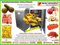 DESIDRATADOR DE ALIMENTOS PROFISSIONAL COM 12 BANDEJAS 