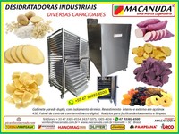 DESIDRATADOR INDUSTRIAL DE ALIMENTOS 29,7 M² DE ÁREA DE SECAGEM 