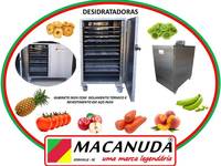 DESIDRATADOR INDUSTRIAL DE COGUMELOS E OUTROS ALIMENTOS - MACANUDA