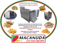 EQUIPAMENTO INDUSTRIAL PARA DESIDRATAR GENGIBRE, VENDAS NO ES