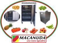 FABRICAÇÃO DE TOMATE SECO DESIDRATADORAS PROFISSIONAIS MACANUDA
