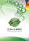 Thumb_frente3